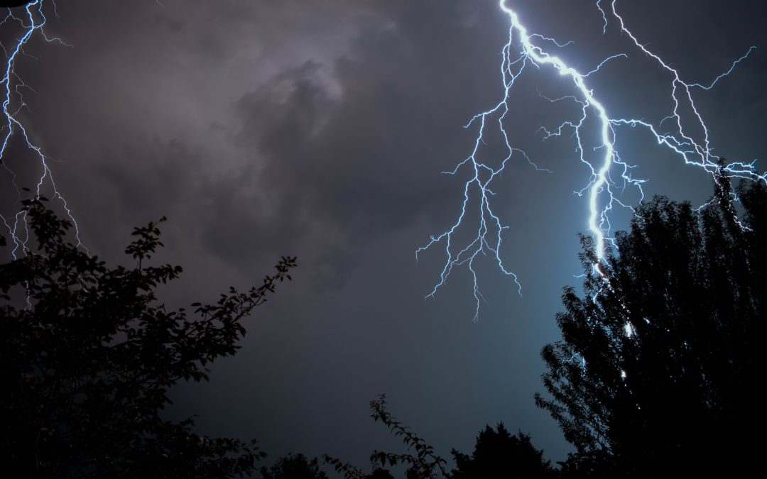 Image of lightning strike behind a tree at night