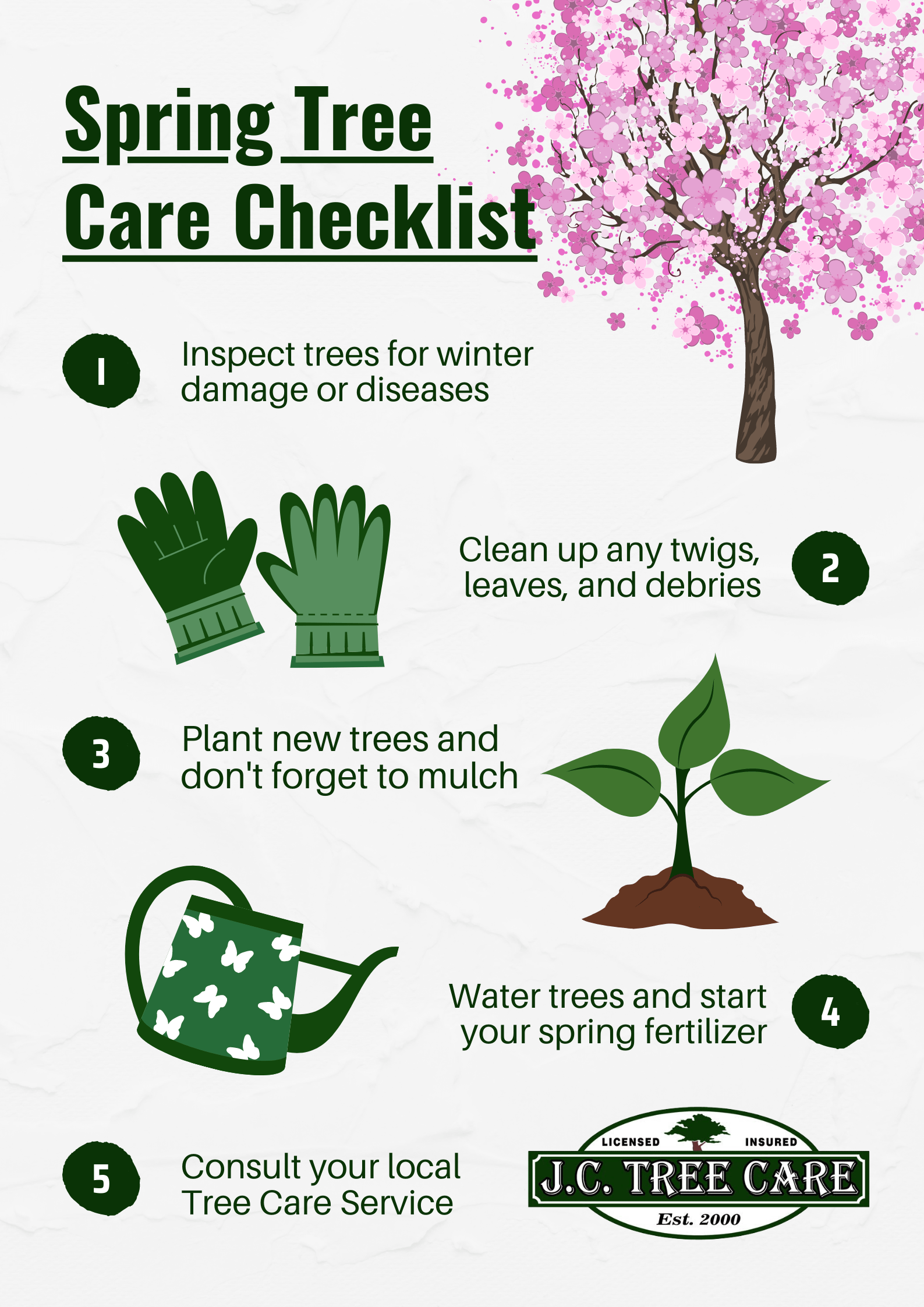 Spring Tree Care Checklist