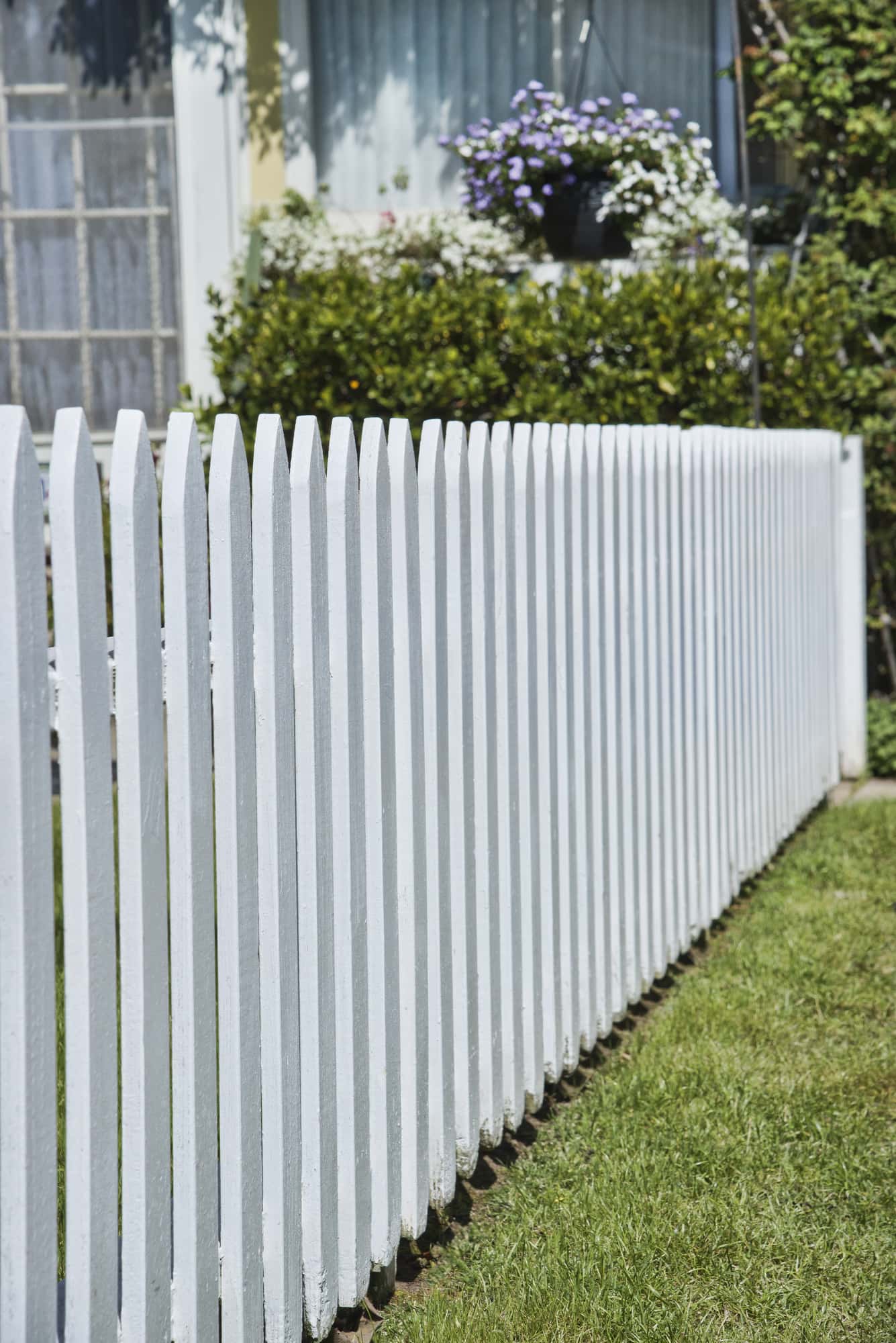 Detail of white picket fence next to lawn in front of house Leesburg Tree Services